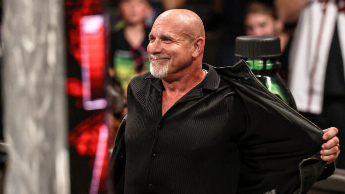 بیل گلدبرگ، ستاره کشتی کج و WWE