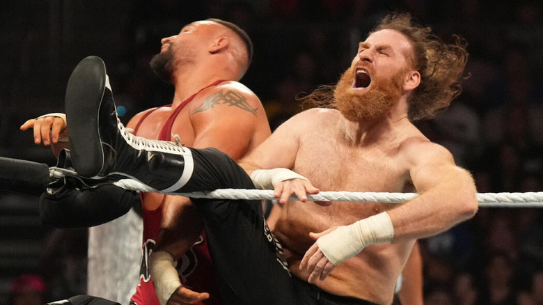 سمی زین و بران بریکر، ستارگان کشتی کج و WWE